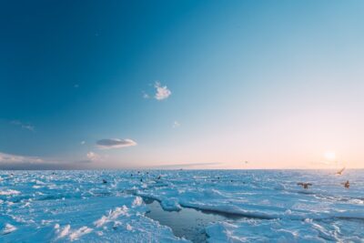 オホーツク流氷観光ガイド｜見頃・場所・砕氷船・おすすめスポットを完全解説